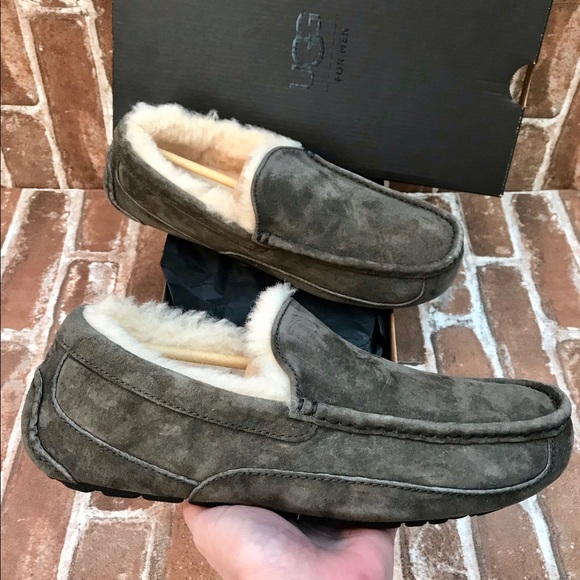 UGG Men’s Ascot Shearling Lined Suede Slipper - Picture 11 of 16